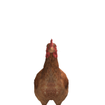 @rexxford_4