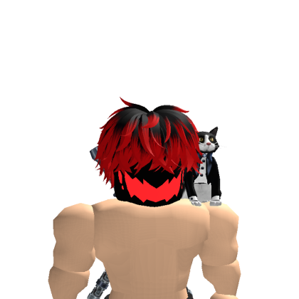 Roblox profile picture for @stax206
