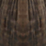 Yeeterboi451