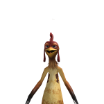 @Lmy267