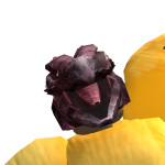@Jakyoda12