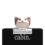 @RealCatCubeGaming