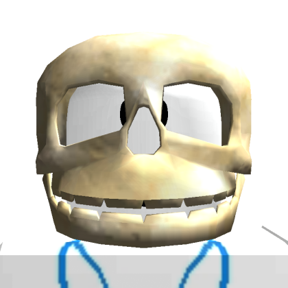 Roblox profile picture for @Muslims