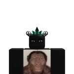 @probedwarsplaygamer