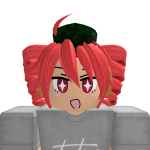 @mrrobloxmaster2020