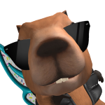 @360robloxplayer