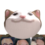 @kww4156pig