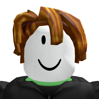 Roblox profile picture for @hani10114