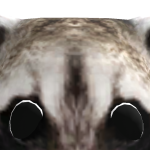 @Krugercrazy