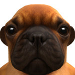 @isudhfbdbdhshdbbdg
