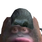 @TDogggggyyy