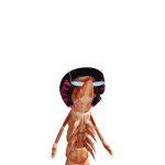@abbpony