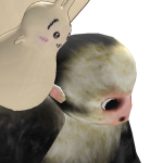 @orengejooce