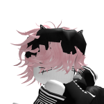 @PanConQuesoEnRoblox