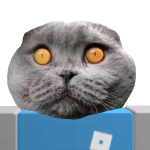 @Va33fu