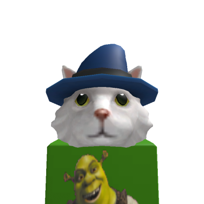 Roblox profile picture for @zamarapro