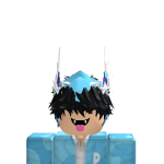 @Polarrr_RBX