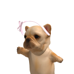 @fragilesealz