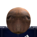@5james2