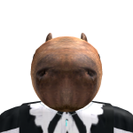 @DHMGaming1324
