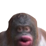 @ChickenBurger0694