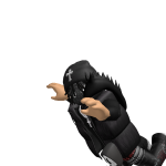@ReverseKing1G