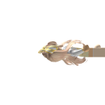 @ANTH3LL
