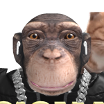 @braychapp