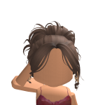 @Kylieplays_roblox101