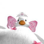 @roblox_user_248795211