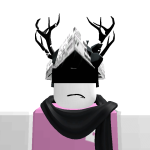 @roblox_flfl