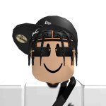 @27HamiltonLewis27