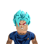 @FZX500