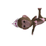 @kathy_sloth