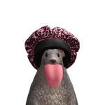 @Bubblydinosaurr