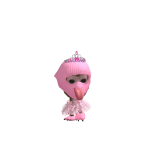 @c00terCh33se