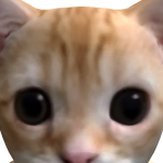 @TrelloBanRequest