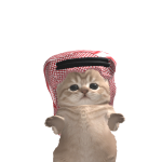 @mnsssrii