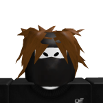 @zmrdev