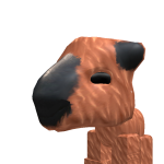 @AidenTheCamel