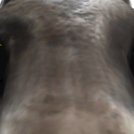 @dude01333