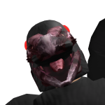 @AgentFox_Ninja426