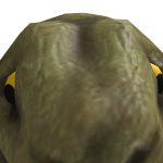 Labbamada