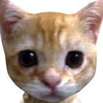 @GonDraco