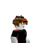 brunnnin_TDR