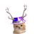 edvoos