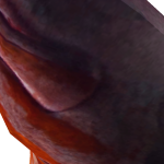 @shanethedog7