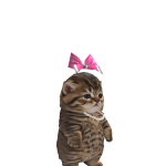 @MygameisnotIame