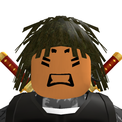 Roblox profile picture for @regulations