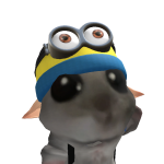 @ipekpluto